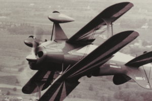 bill davidson aerobatics biplane